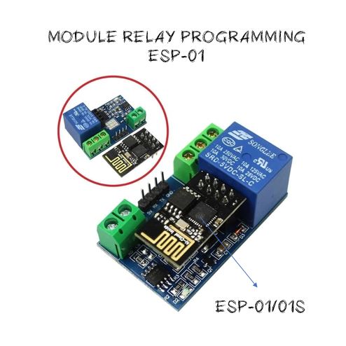 Module iot ESP-01 Relay Programming